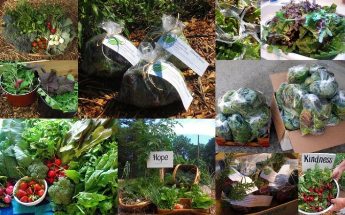 27873_391301397886_694952886_4210559_8100095_n