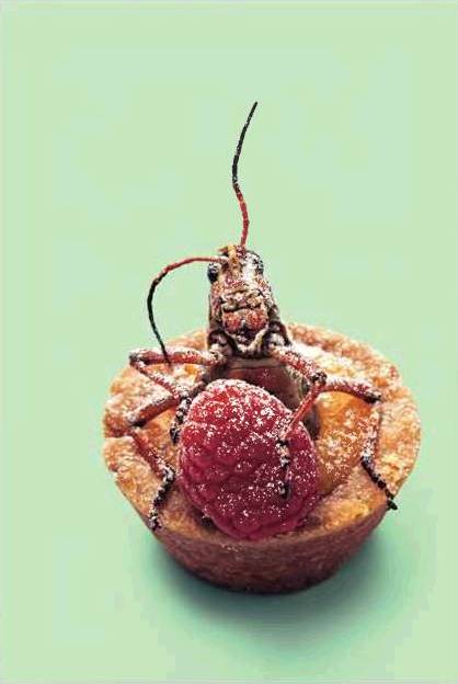 Hans Gissinger photo of grasshopper pastry