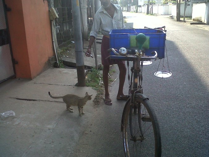 Cat-Man Cooperation 1