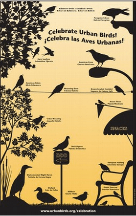 Screen Shot 2012-12-22 at 8.01.16 AM