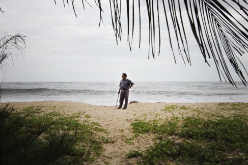 Trusty Guard at Marari Beach