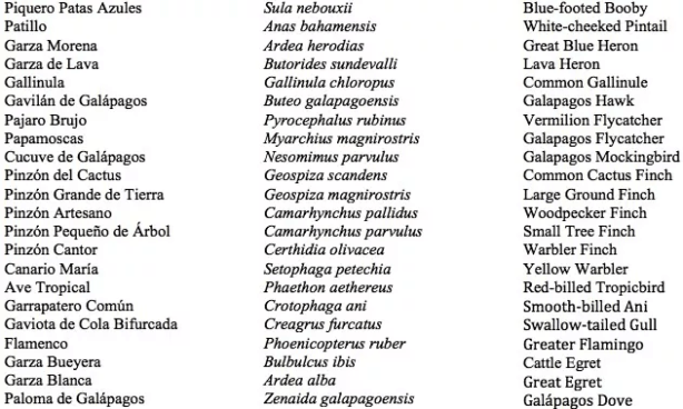 Screen Shot 2020-08-14 at 10.58.15 AM