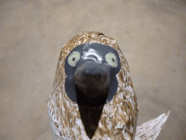 Screen Shot 2020-08-14 at 11.03.31 AM