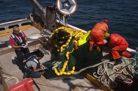 Laura Leon for The International Herald TribuneGovernment inspectors, left, check out a fishing vessel off the Spanish port of Cádiz.