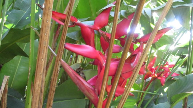 ???????????????????????????????