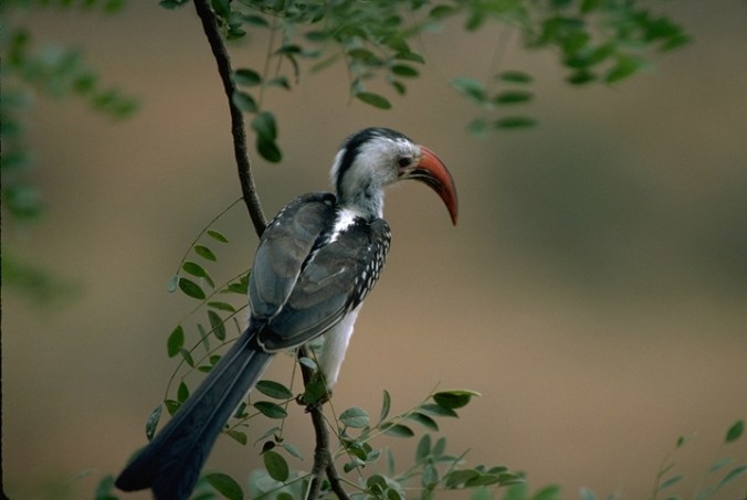 Photo credit: John Mason