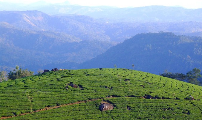 Photo credits: Ramesh Kidangoor