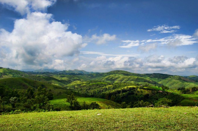 Photo credits: Johny George