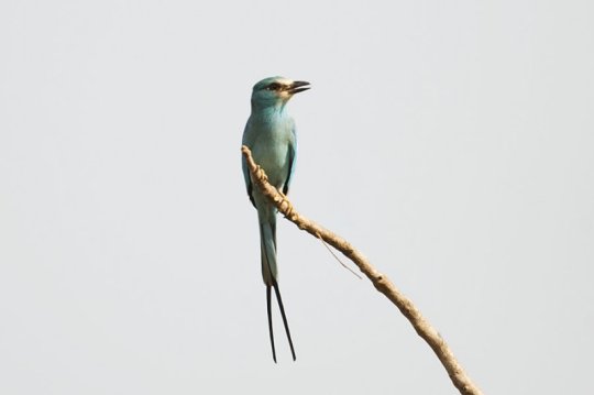 Photo Credit: Zack Wareh