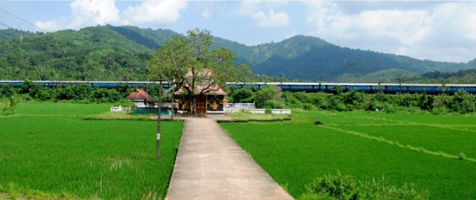 Photo Credits: Ramesh Kidangoor