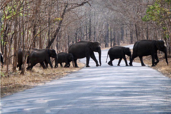 photo Credits: Nidhin Poothully