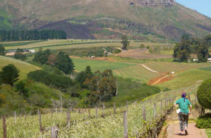 Barbara following a footpath in the wine country of Stellenbosch, South Africa - during one of her many adventures
