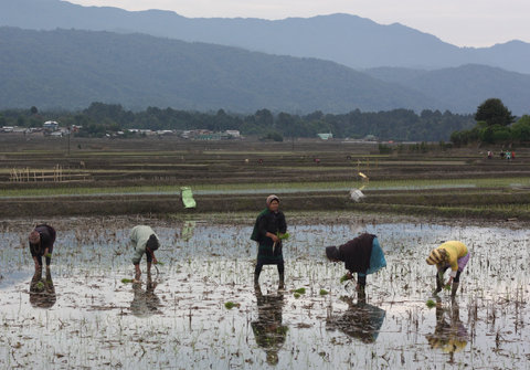 08-bhramaputra-pic-IndiaInk-blog480