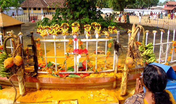 Photo Credits: Ramesh Kidngoor