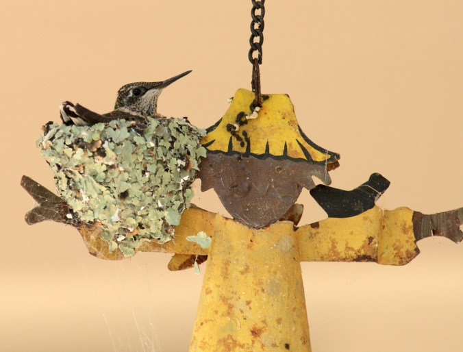 Photo of Ruby-throated Hummingbird by Marshall Faintich