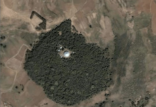 Debresena church forest- South Gondar, Ethiopia (Picture from Google earth)