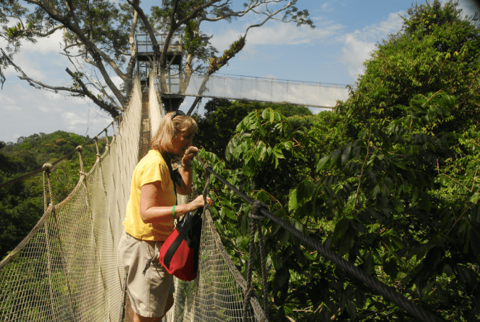 Dr. “Canopy Meg” Lowman, uses the canopy walkway to study leaf growth and defoliation in the forest canopy