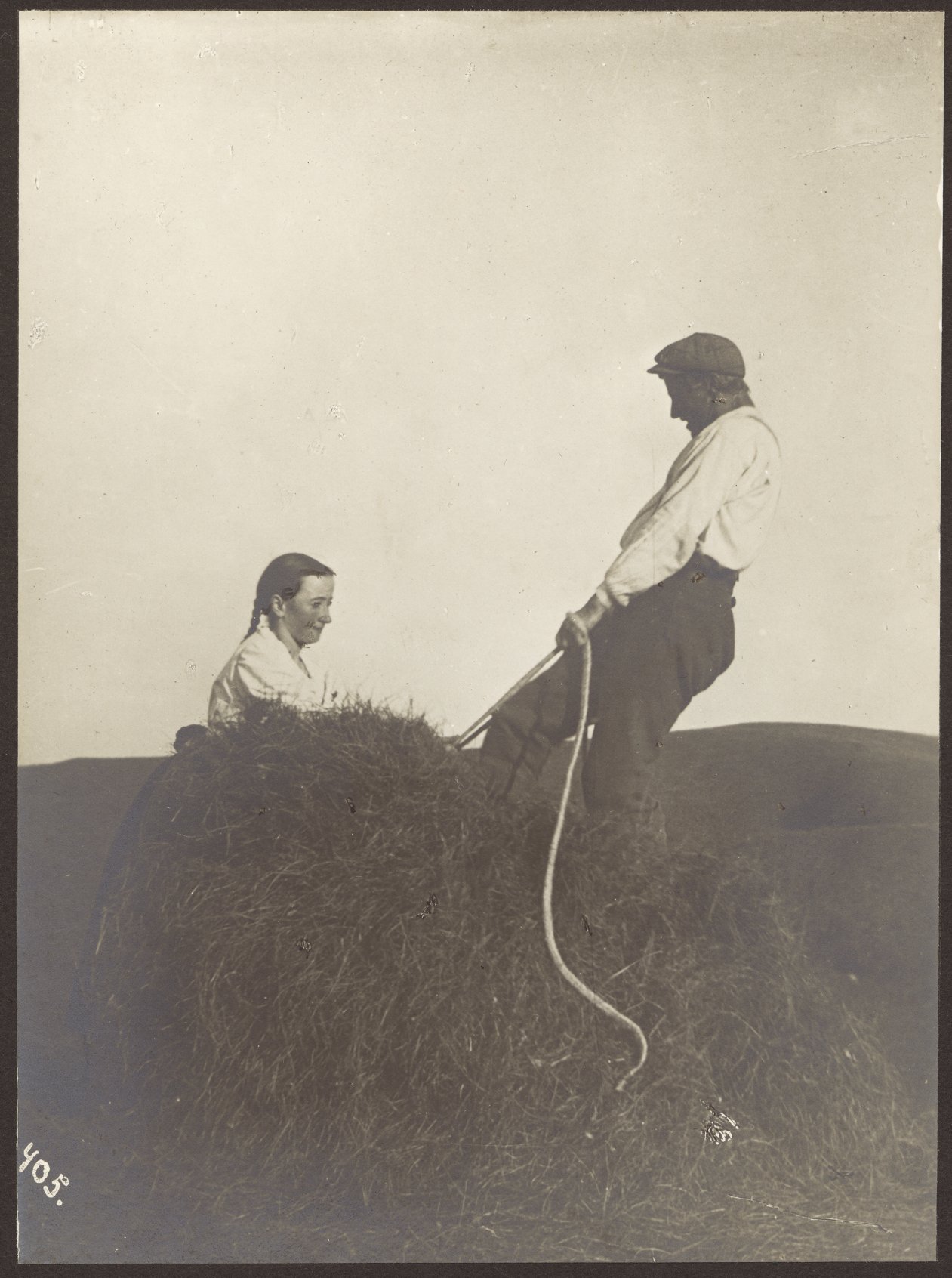 Hay Hiatus | Organikos