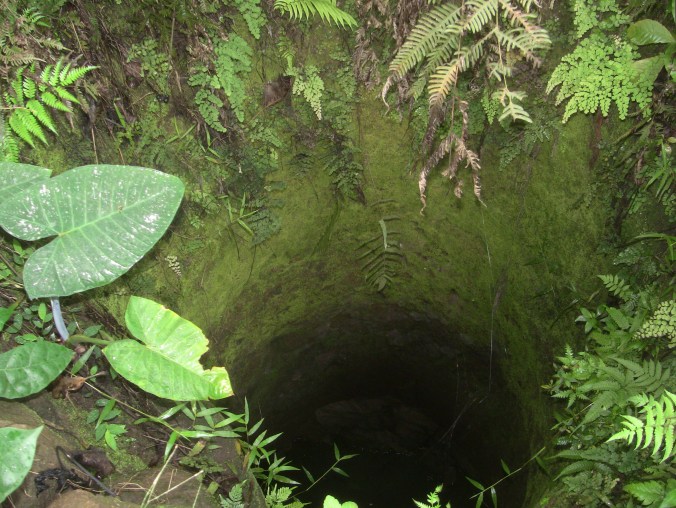 A well in Spring Valley credit Ea Marzarte Raxa Collective