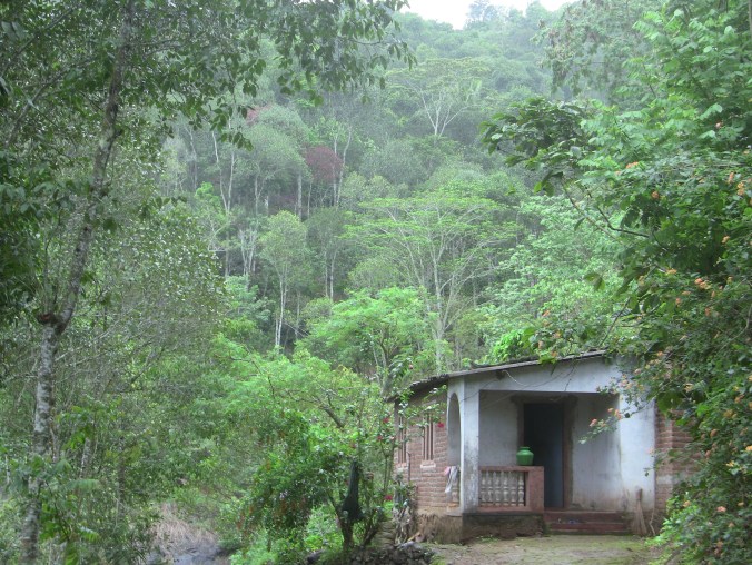 a house in spring valley credit ea marzarte -Raxa collective