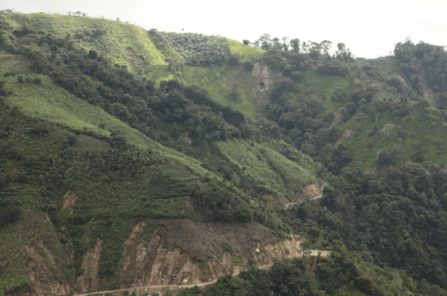 Typical landscape mosaic of Barrio Nuevo