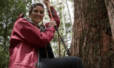 Miranda Gibson tree-sitting. Photograph: Miranda Gibson