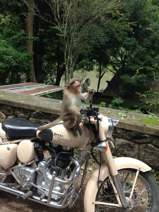 Photo Credit: Darren Meister