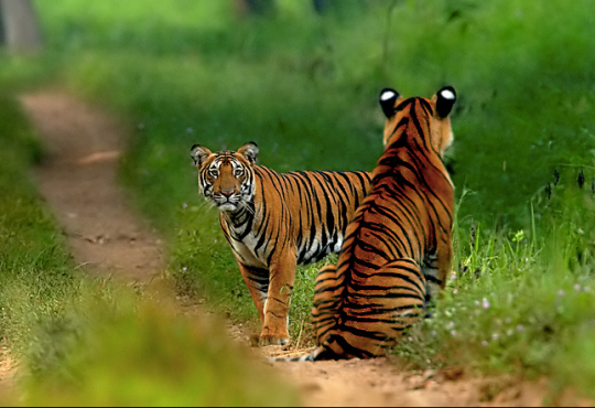 Photo credit: Sudhir Shivaram