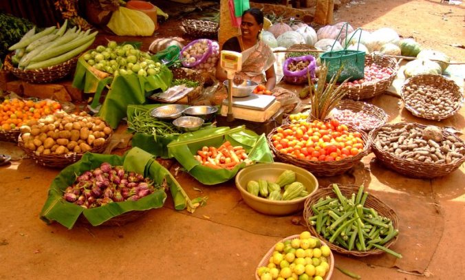 Photo credits Ramesh Kidangoor