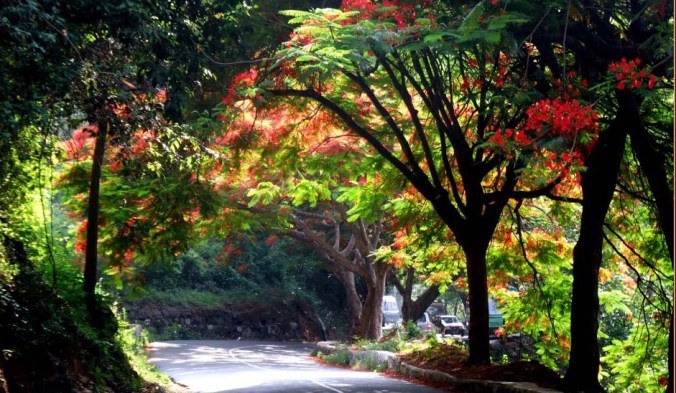 Photo credits: Ramesh Kidangoor