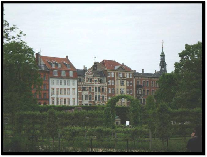 Park in København  -Enriching the city's biodiversity