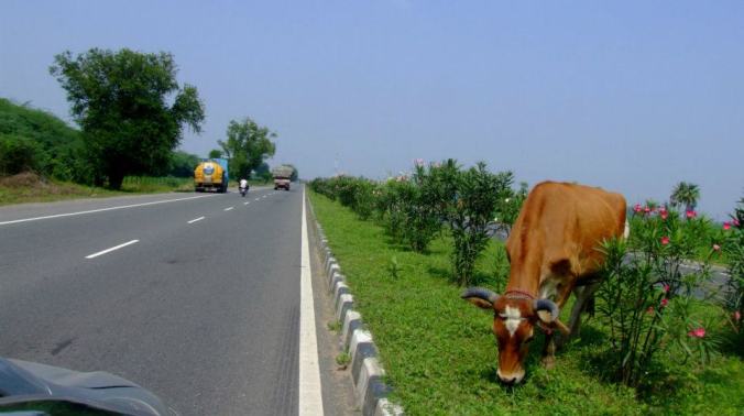 Photo Credit: Ramesh Kidangoor; Trichy-Chennai Hwy