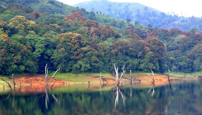Thekkady