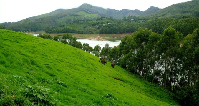 Munnar