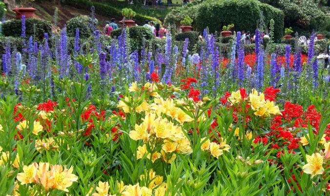 Photo credits : Renuka