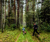 Brendan Hoffman for The New York Times. Guides lead a mushroom hunt in Suzdal.