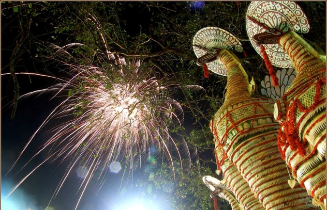 Photo credits : Ramesh Kidangoor