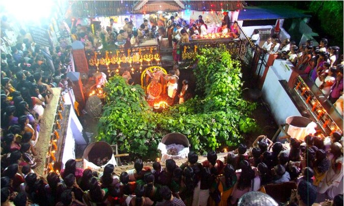 Photo credits : Ramesh Kidangoor