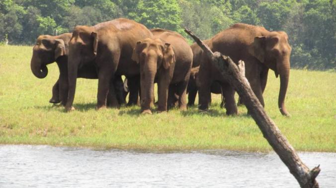 Photo credits: Kannan