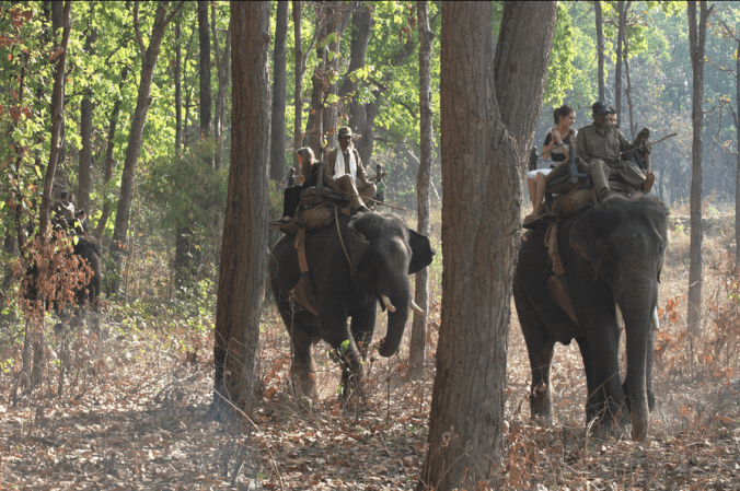 Lucky tourists being taken to a tiger showing Photo taken from http://www.flickr.com/photos/26804315@N03/6754621367/in/photostream/