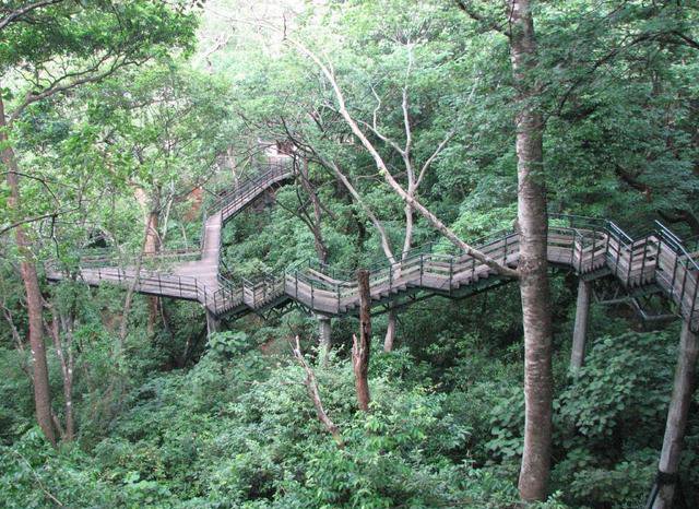 Photo credits : R R Renjith