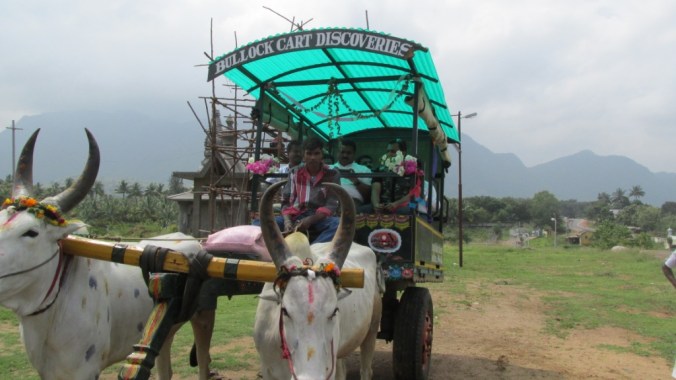 Bullock Cart Discoveries