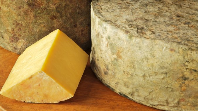 Shelburne Farms' clothbound cheddar has a bright yellow color because it's made from the milk of cows that graze on grasses high in beta-carotene. Courtesy of A. Blake Gardner