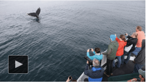 Jim Wilson/The New York Times