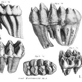 131216_r24386_g290_crop