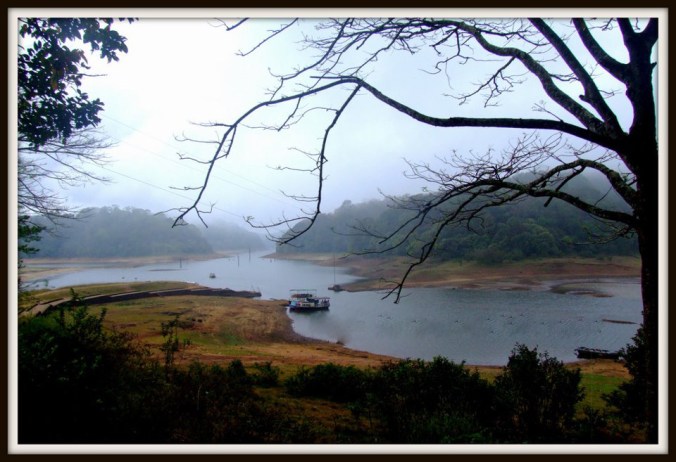 Thekkady during summer