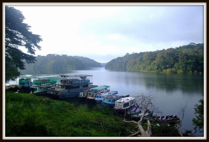 Photo credits:Ramesh Kidangoor