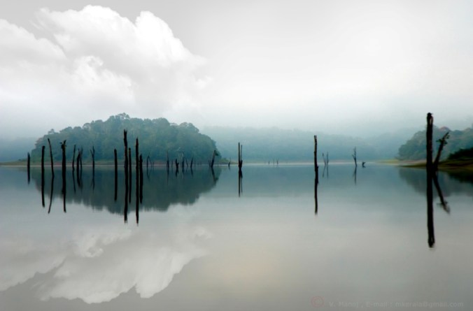 Periyar Lake