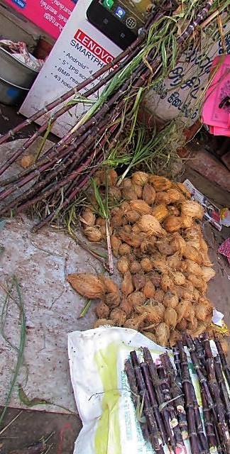 1545817_742025919150608_339354852_n