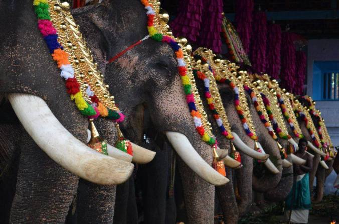 Photo credits :Ramesh Kidangoor 